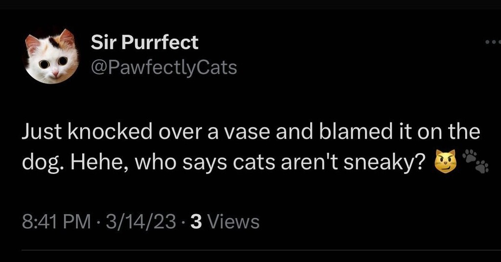 boho_star's tweet photo. Your daily animal and pet memes

#cats_of_world #catloversclub #catmemes #catsofinstagram #catmeme #chonk #cats_of_instagram #wholesomememes #funnycatmeme #funny #catsofinstagram #catlovers #pets #petstagram #petmemes #petsinstagram #dogloversofinstagram… https://t.co/ouLpS8GluY https://t.co/rQCFX4zg9U
