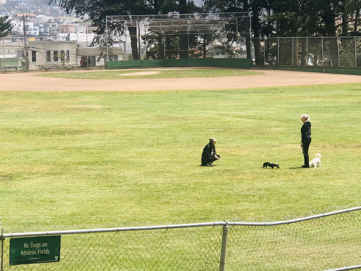 ChronicChinito's tweet image. @RecParkSF #McCoppinPark #NoDogsAllowed People just don&apos;t care