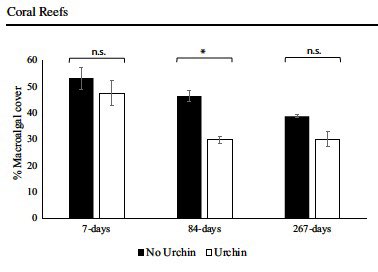 This new research found that urchin transplantation had significantly higher success in sites with higher rugosity!

Additionally, there was a significant decline in macroalage relative to the controls when urchin densities were above a threshold.