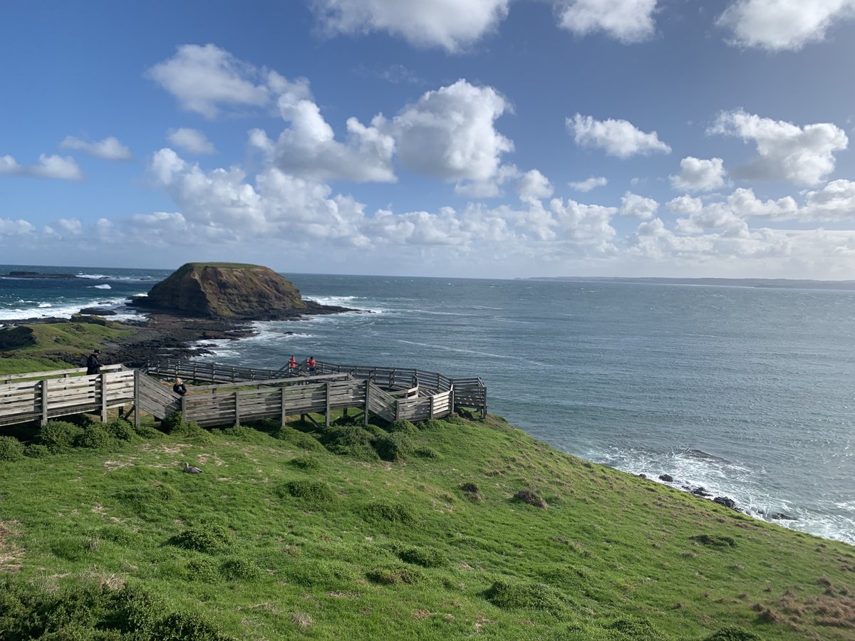 Melbourne Girls Grammar tweet media