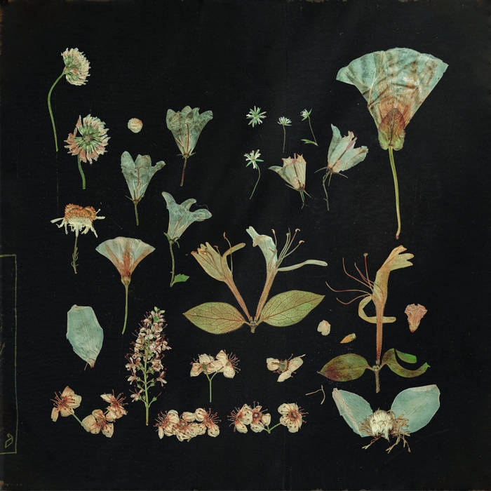 New &amp; Notable: A beautifully serene and introspective record, <a href="/leavinglaurel/">Leaving Laurel</a>'s “When the Quiet Comes” combines gently drifting melodies with lush atmospheres. l8r.it/fFje