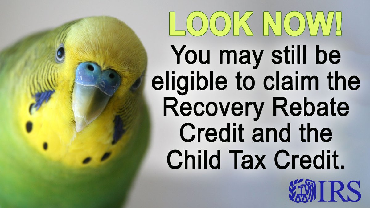TheKeperaGroup's tweet photo. IRSnews: Most Americans already received their stimulus payments and the 2021 Child Tax Credit, but for eligible people who don’t normally file tax returns, it’s not too late to claim these benefits from the #IRS. https://t.co/U7iw1oD0Yf https://t.co/bT79PejopW