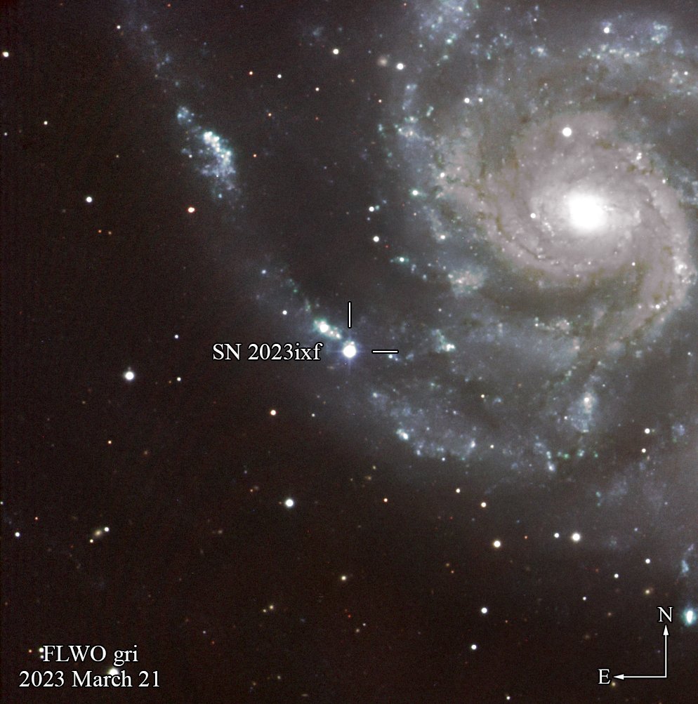 Joining the follow-up party! SN 2023ixf is one of the closest supernovae ever found, located in an arm of the Pinwheel Galaxy, M101. We are getting some gorgeous images with the FLWO-48". Thanks Allyson Bieryla and Daichi Hiramatsu for coordinating these observations! #SN2023ixf