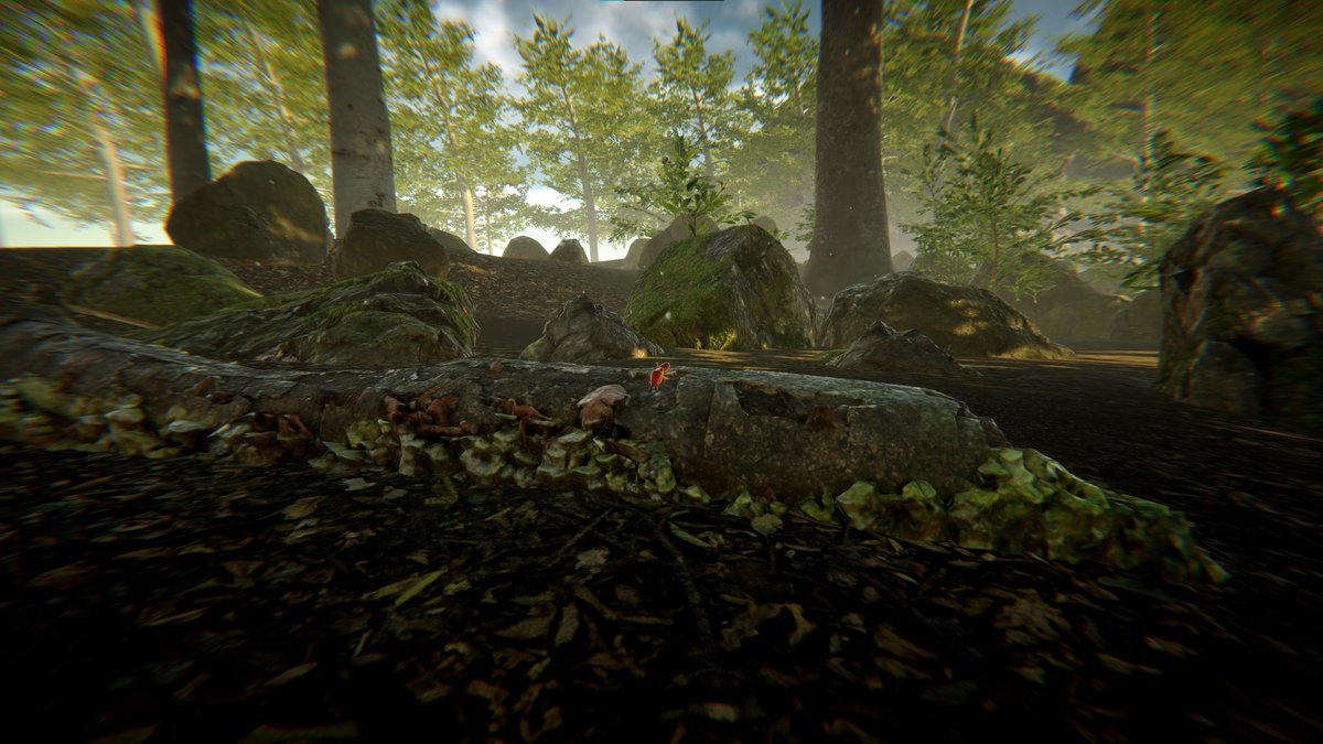 arcane_worlds's tweet photo. The world is starting to take shape! 🌎 
Just imagine levelling up your bug 🐛 here and leading a couple of your frens into battle 😍

#ForTheHive #gaming #SteamDeck #nintendo #playstation #xbox @IGN https://t.co/W2gEFCgG7p