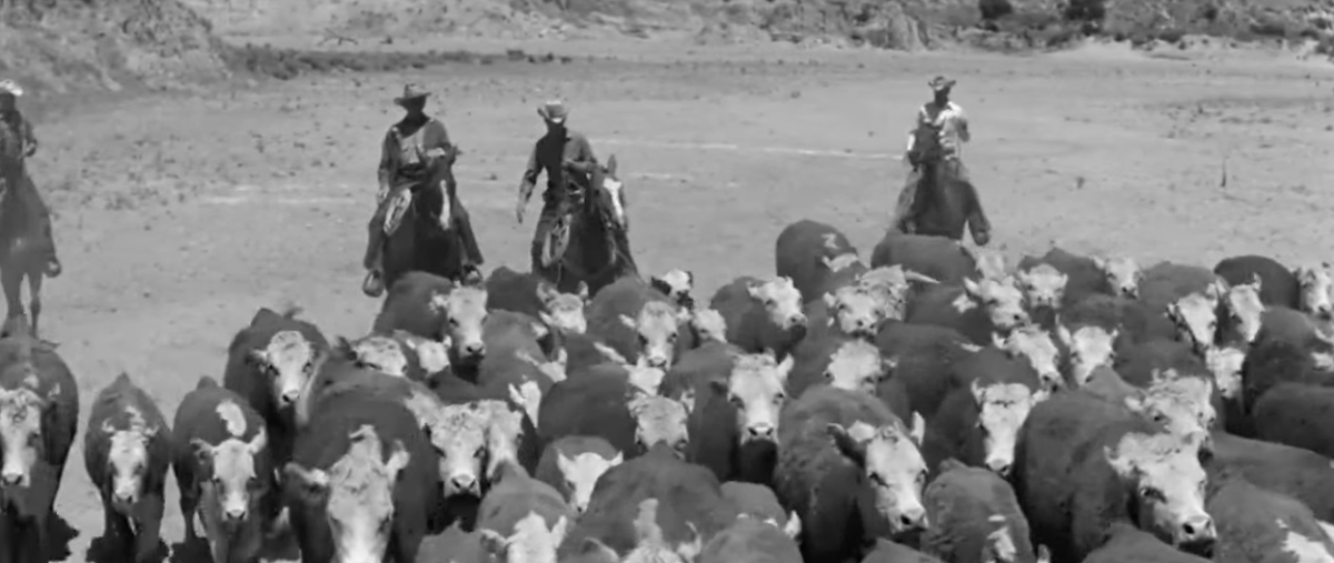 SusanRo22770838's tweet photo. #RT @tcm: HUD is considered by many to be the pinnacle of James Wong Howe's career. Howe filtered out the empty skies to help evoke the protagonist's sense of isolation and despair. 

He won his second Oscar for his work on the film. See it tonight at 10… https://t.co/4doTEQsCOE