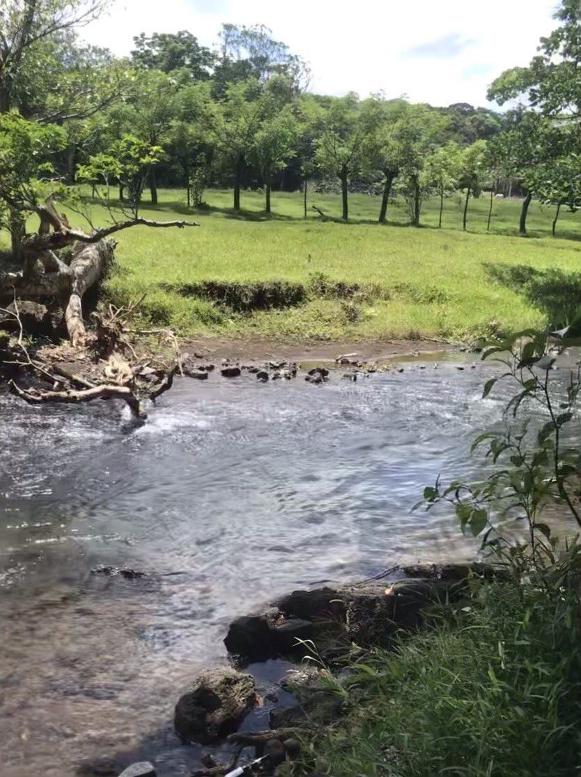 DelgadoPeter's tweet photo. El Trópico https://t.co/iqFVxqywYp