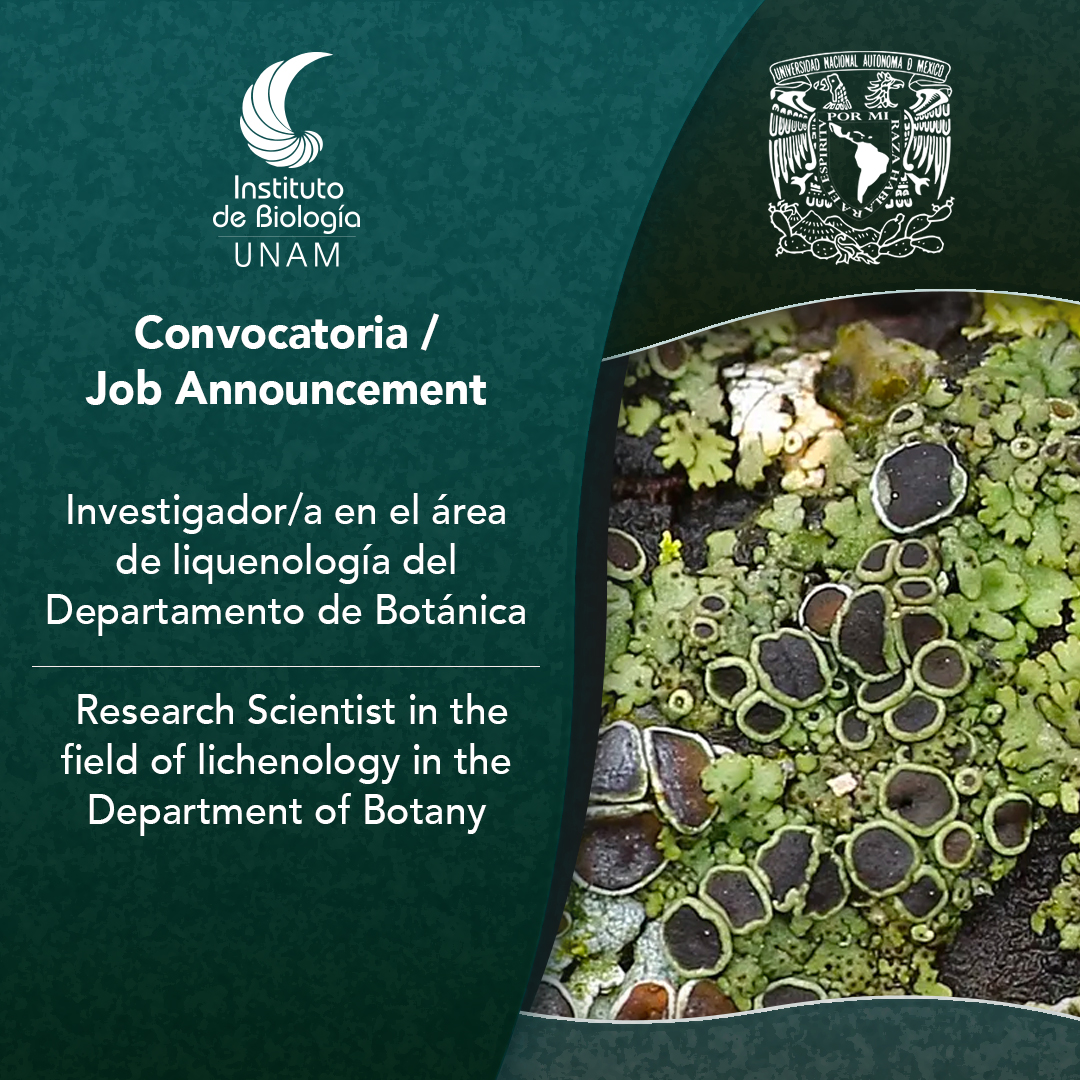 Convocatoria / Job Announcement 
Investigador/a en el área de liquenología del Departamento de Botánica. / Research Scientist in the field of lichenology in the Department of Botany
ib.unam.mx/ibunam/Convoca…