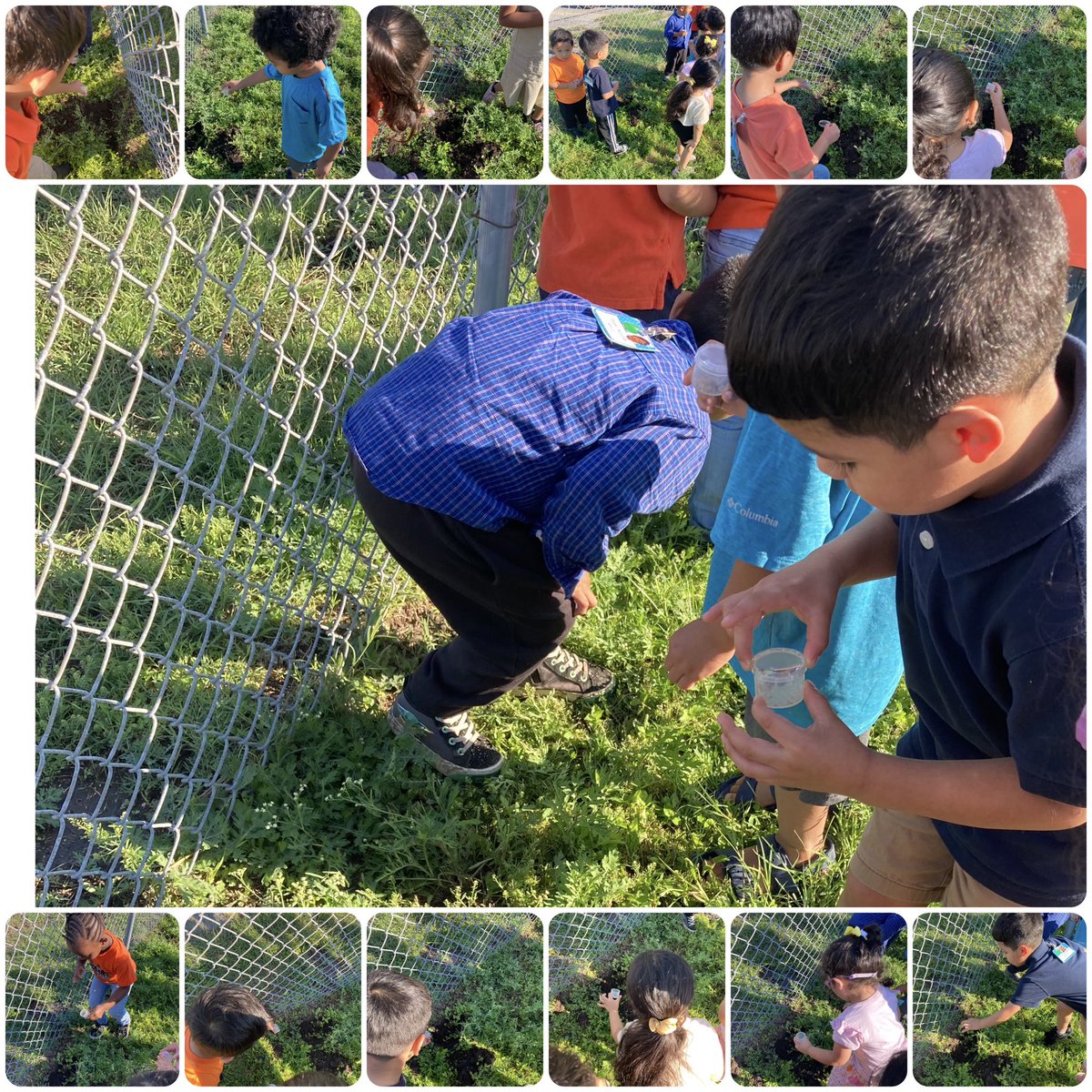 Crystal Canales (@c_canales13) on Twitter photo Today the students said goodbye to their worms, larva, & beetles and set them free😊. #prek3 <a href="/JOSECARDENASECC/">Jose Cardenas ECC</a> Today the students said goodbye to their worms, larva, & beetles and set them free😊. #prek3 <a href="/JOSECARDENASECC/">Jose Cardenas ECC</a>