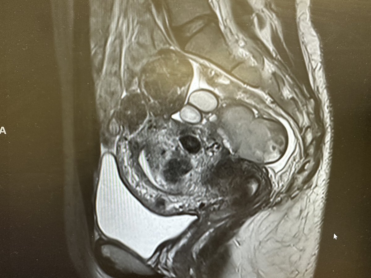 Suruchi Pandey tweet media