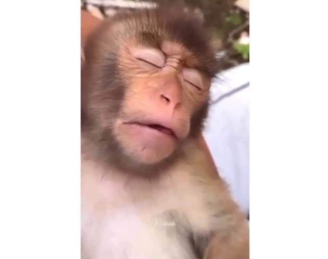 Guarromantico_'s tweet photo. Yo en el trabajo soñando que me aumentan el sueldo. https://t.co/bB6aUNqOCO