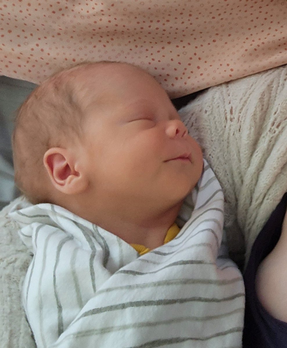 Jayne the Joyfully Defiant Feminist tweet media