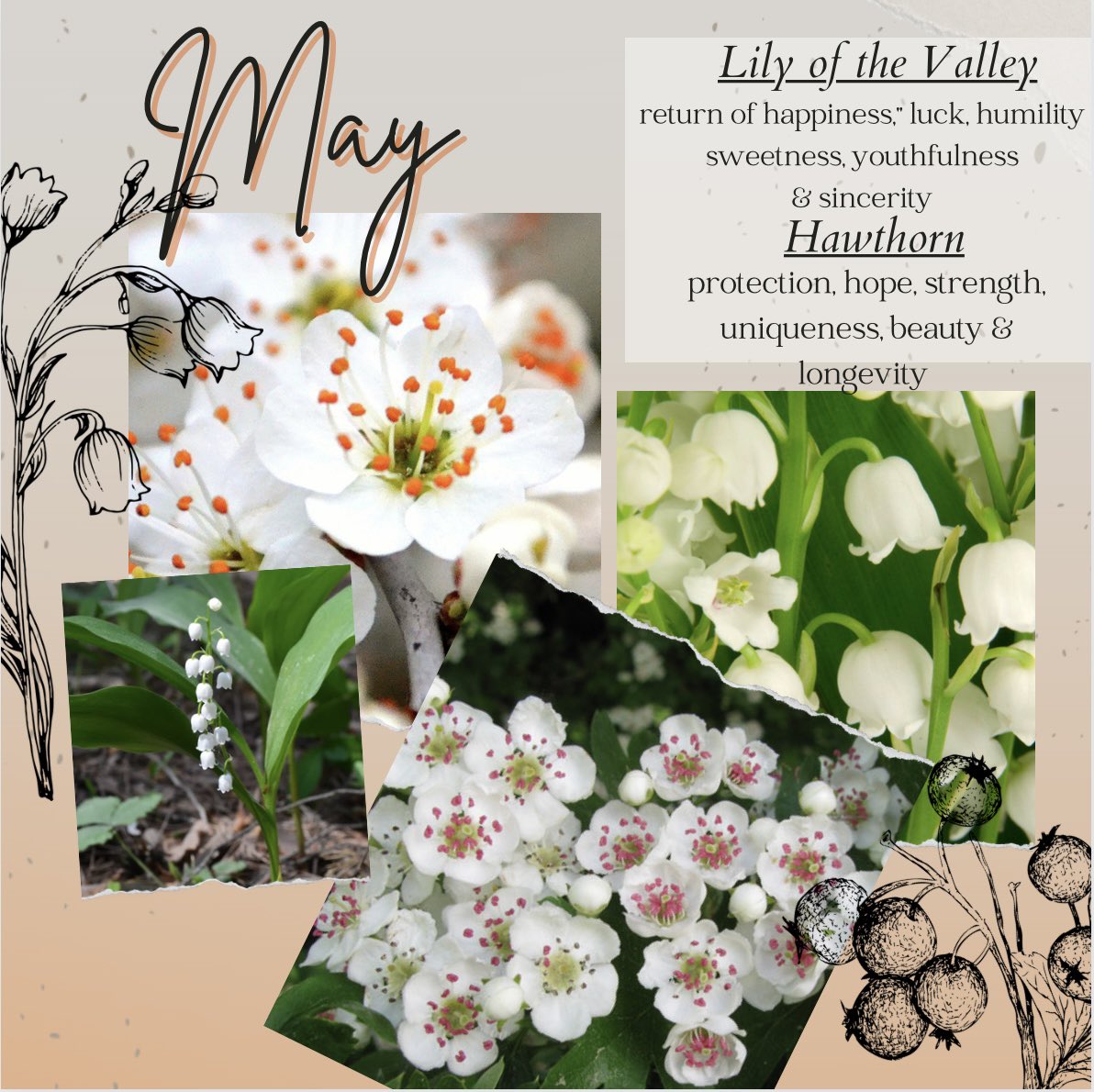 John and Bob's Smart Soil Solutions tweet media