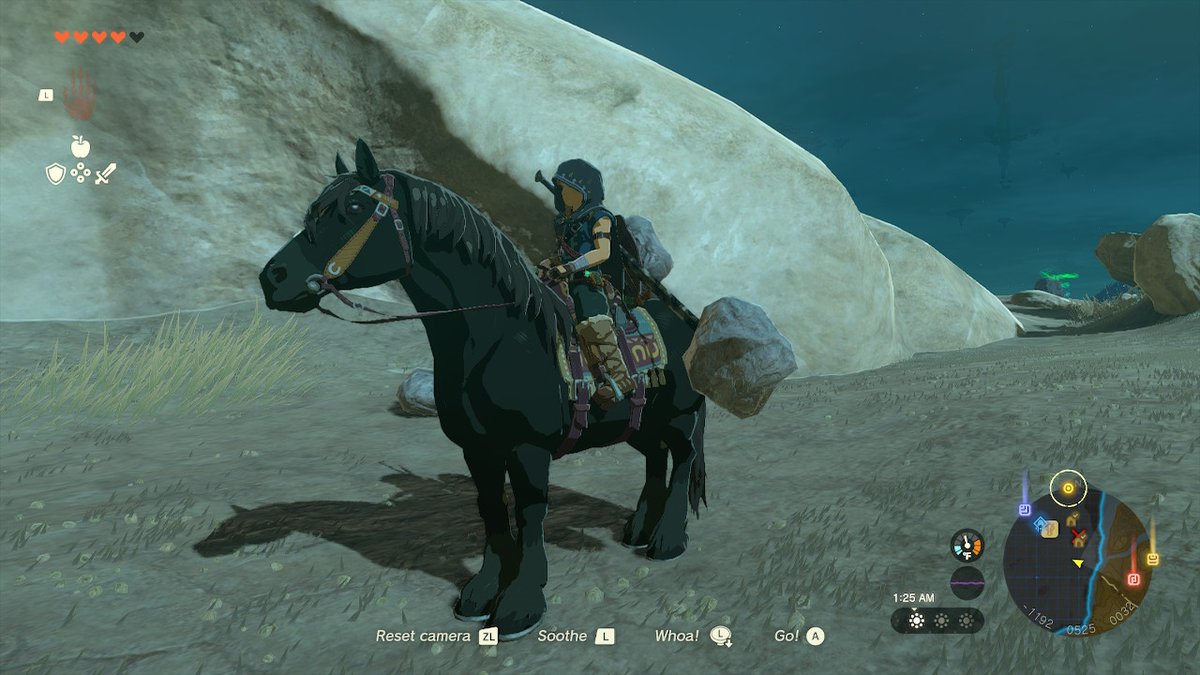 velorra's tweet photo. Gorgeous all black horse with a white face stripe! #TearsOfTheKingdom #Zelda #NintendoSwitch https://t.co/hQ1cjDkS7V