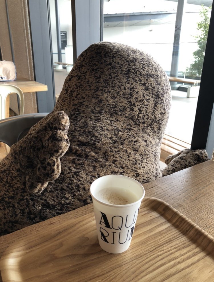 オオサンショウウオも朝のコーヒーが欠かせないようです𓆈 ☕️

今日も良い日になりますように😌

(以前、京都水族館へ行った時の写真🤳)