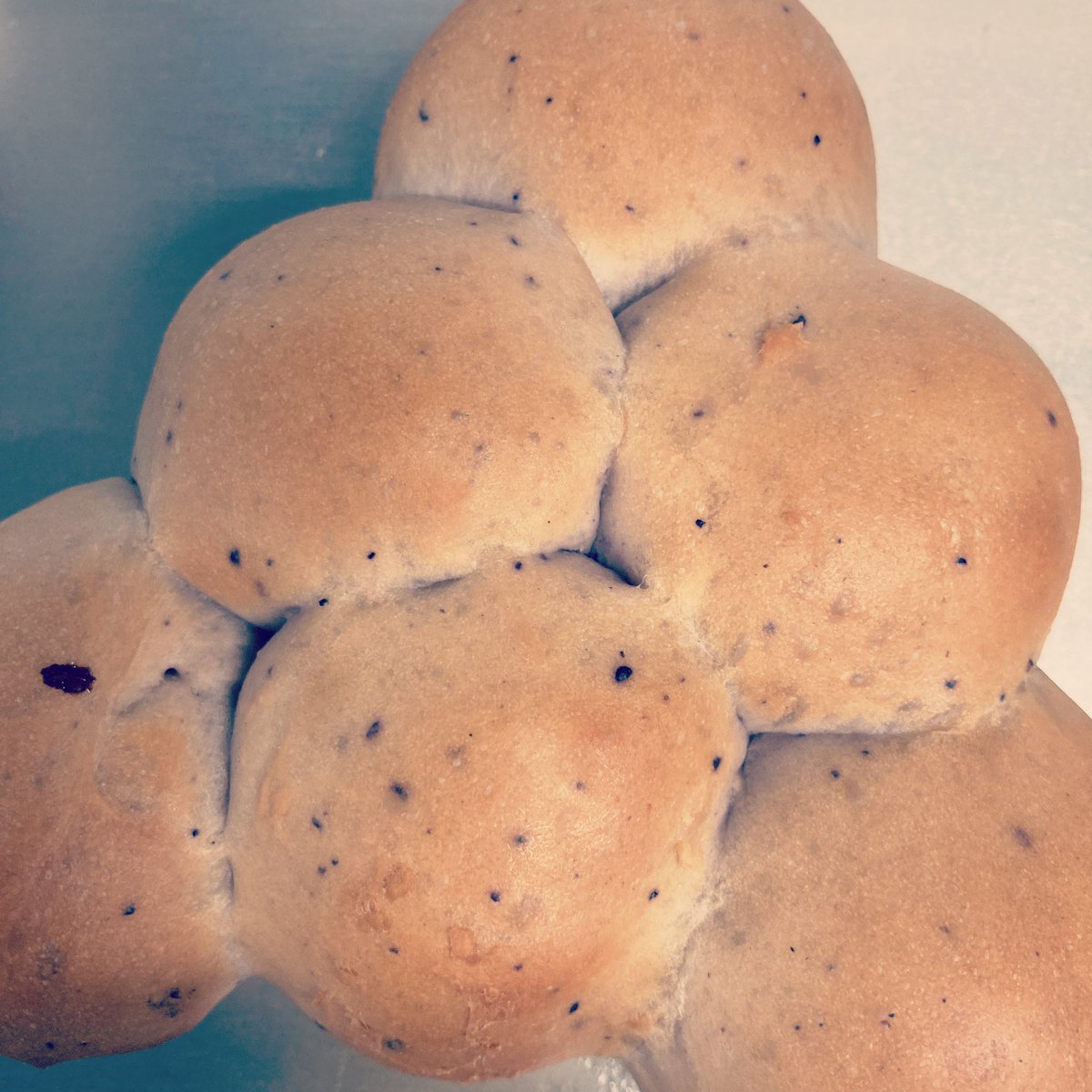 JOIN_Cafe's tweet photo. ブルーベリーちぎりパン焼けました🫐 https://t.co/G7gnAIloEK