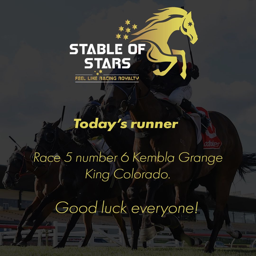 stableofstars_'s tweet photo. Good luck to all connections. @cmaherracing @SegenhoeGroup 
#feellikeracingroyalty #stableofstars https://t.co/sLcLJ4f56r