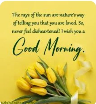 MelissaBegleyfy's tweet photo. Blessed chooseday tweethearts ❣️ https://t.co/N28lNAtmHN