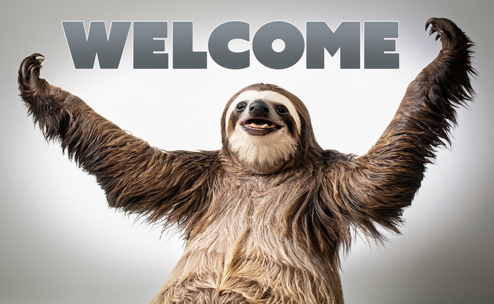 Lee Brimelow on X: "In case you missed it, #AdobeFirefly is now available  to everyone. No more waitlists. Generating sloths is optional, but heavily  encouraged 😁 https://t.co/e8ThdbZgAU" / X