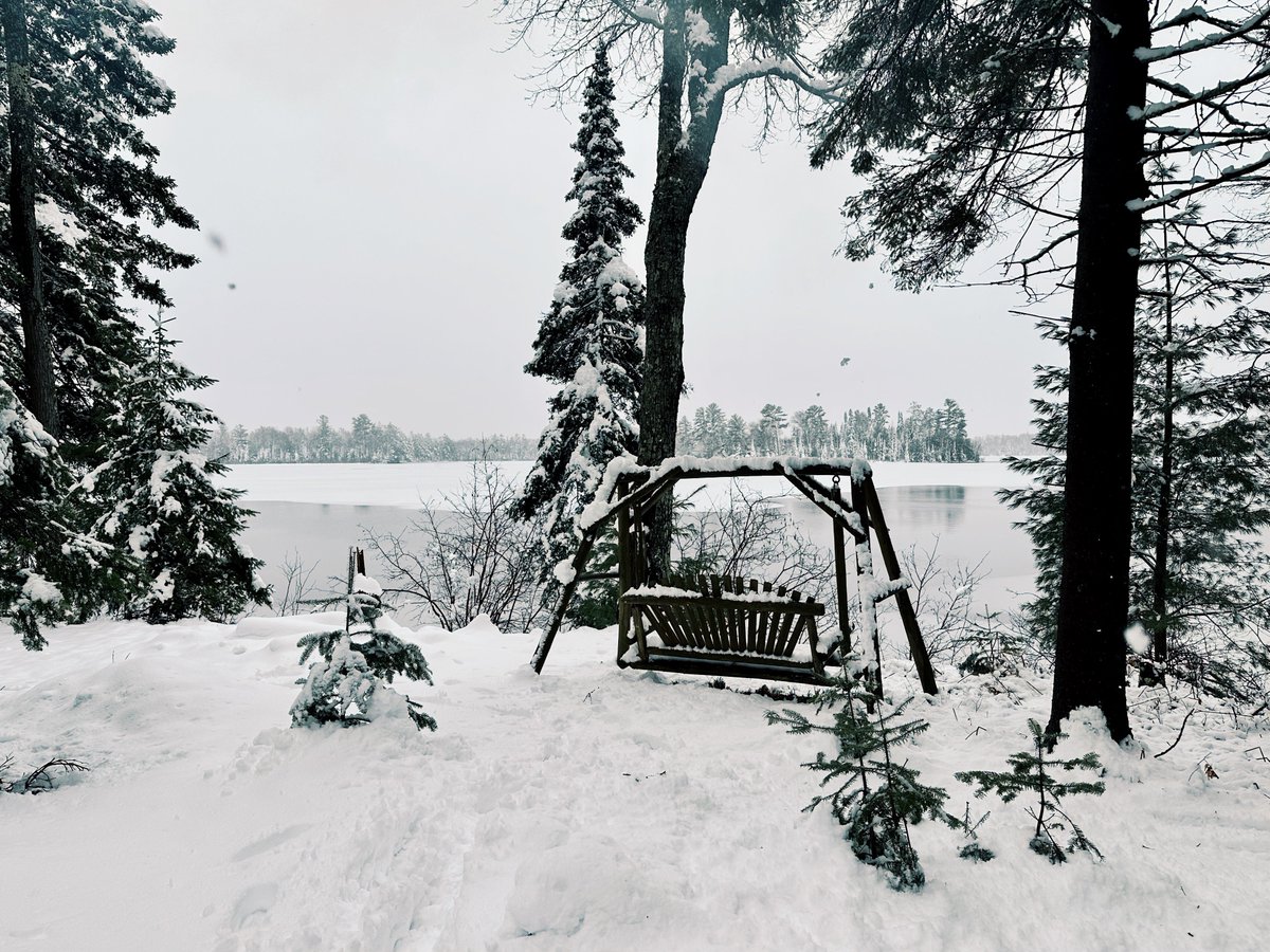 _solson's tweet image. MI