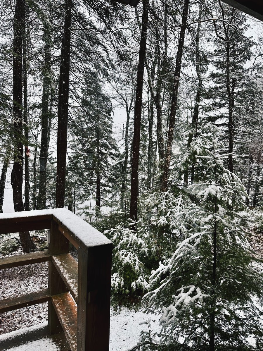 _solson's tweet image. MI