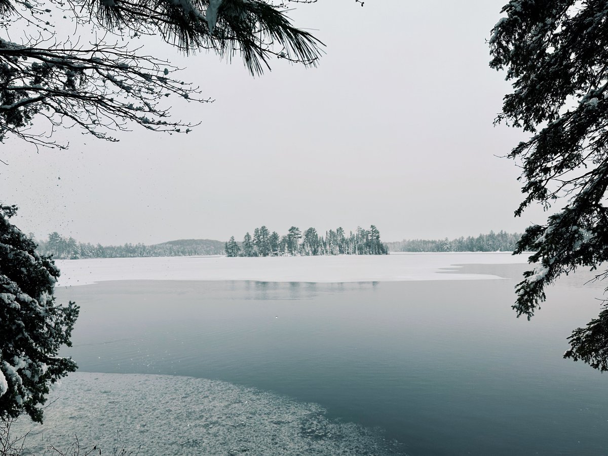 _solson's tweet image. MI