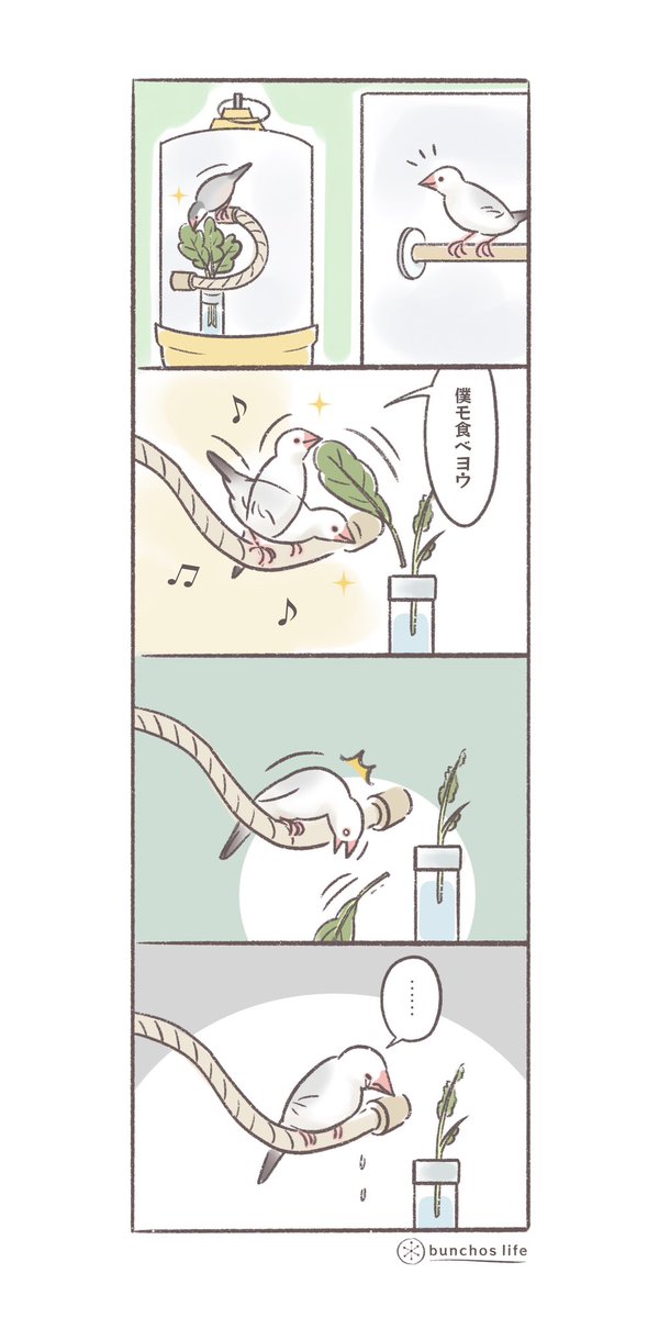 ちょっとした不運(このあと新しいものをあげました)
#文鳥 
#4コマ漫画 

*過去作ダウンロードできます!(固定ツイート参照) 