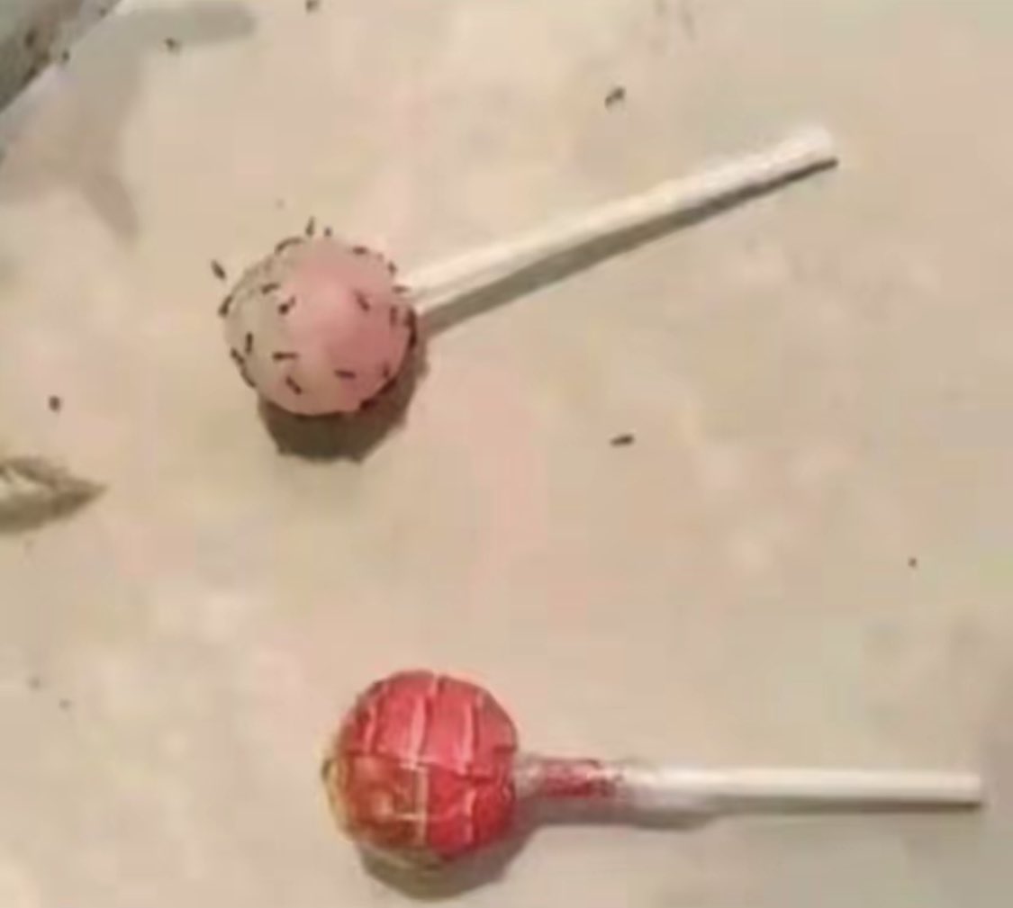 escamerde74's tweet image. Pourquoi être pudique c’est important ?