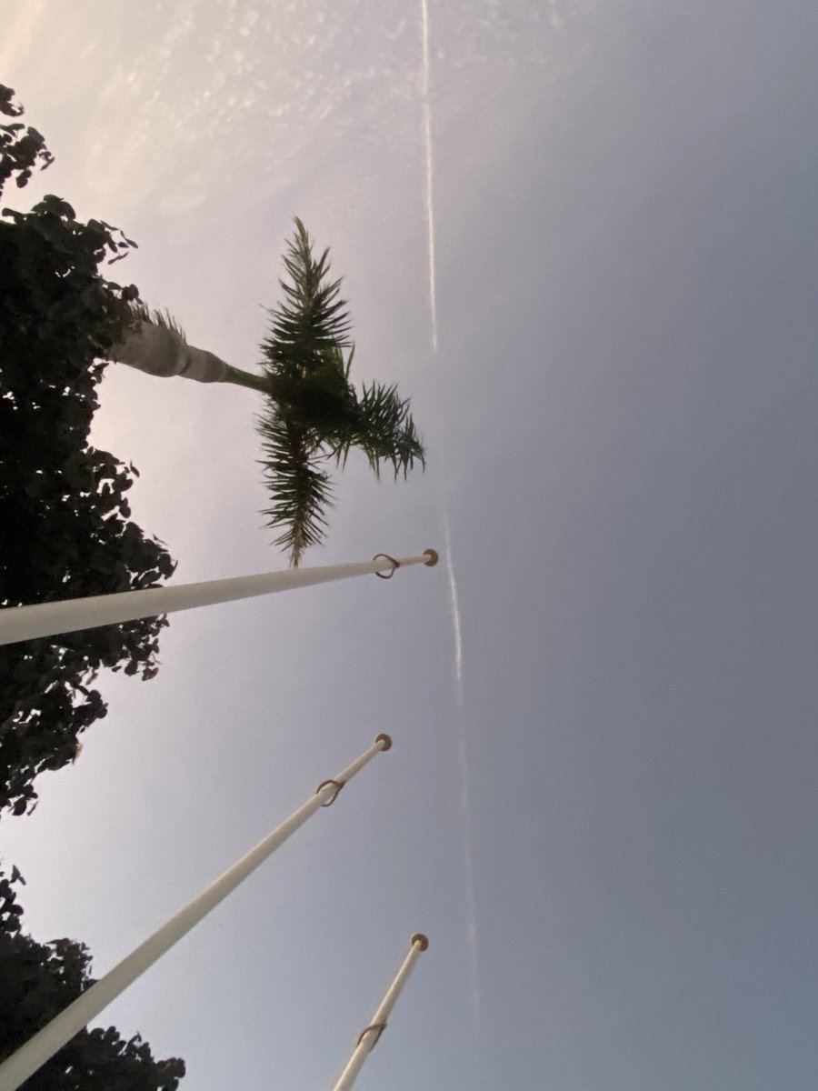 NeoFromDMatrix1's tweet image. We got sprayed again this morning. Such a good feeling #chemtrails #sprayed #NWOAgenda2030