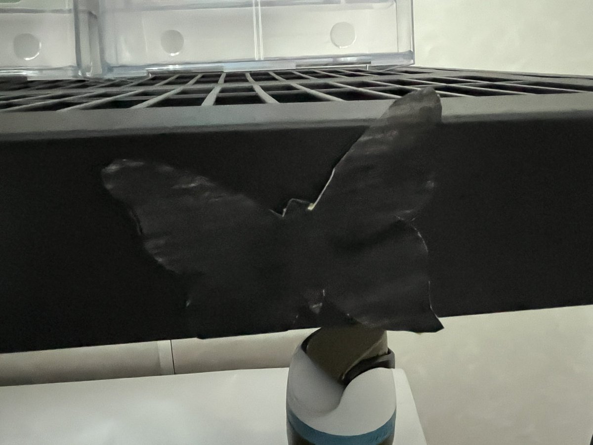 ElbertSara's tweet photo. I think my students did a great job with the camouflage activity.  Can you see the butterflies?@JordanSTEM @jordandistrict https://t.co/qlFfwtLShh