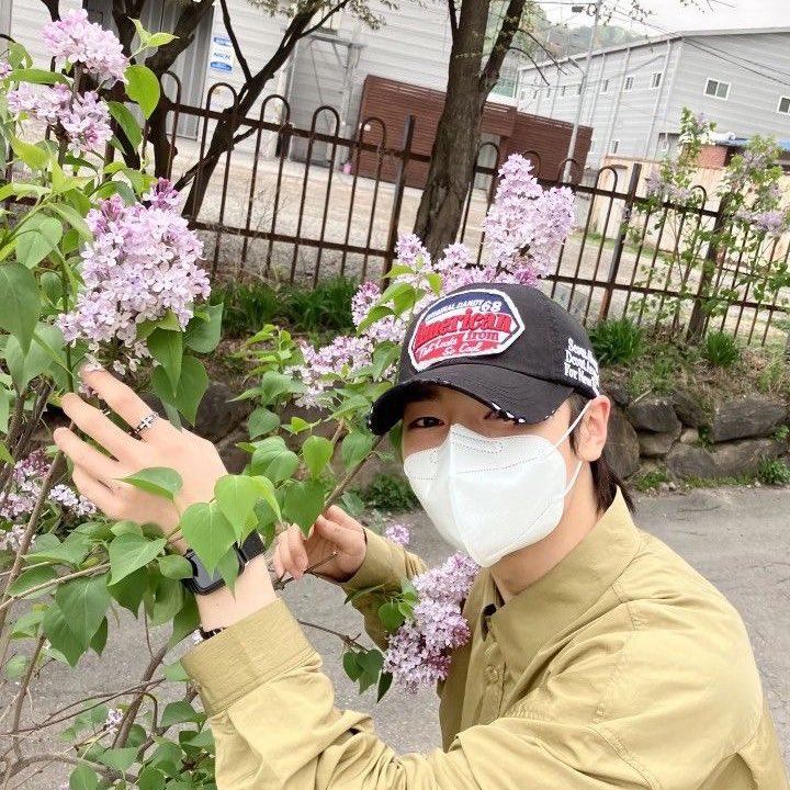 jeongin as fennec foxes on Twitter