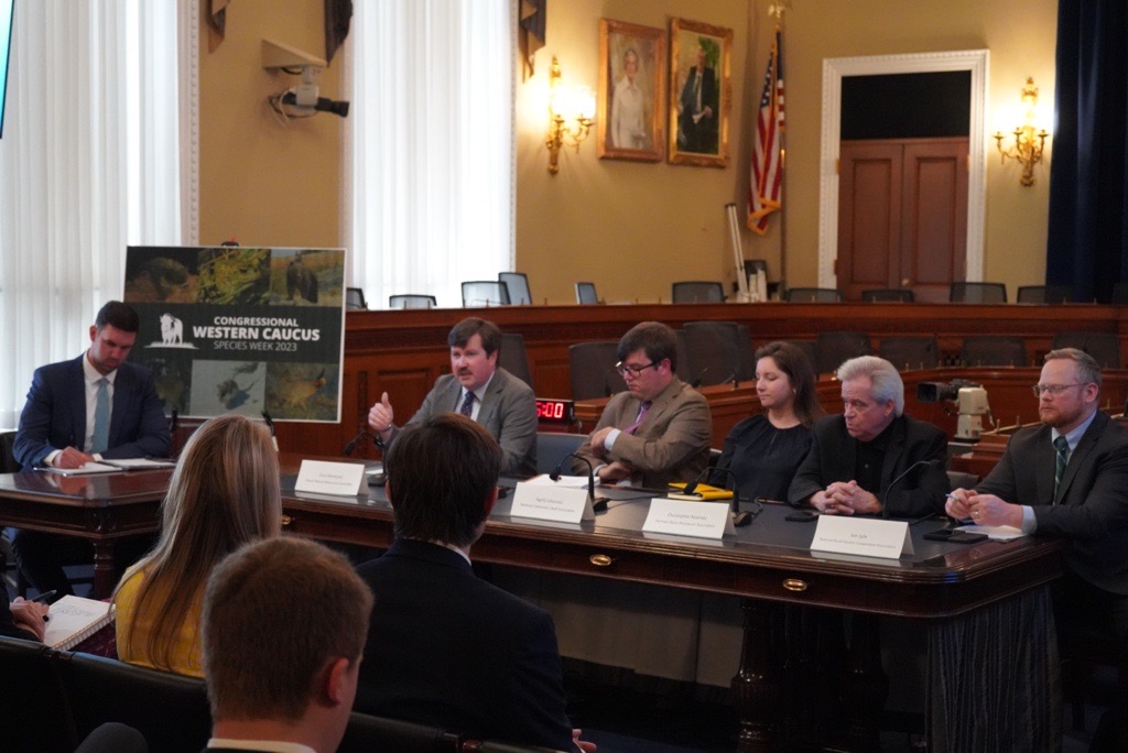 westerncaucus's tweet photo. Today, to mark the beginning of #WCSpeciesWeek, we hosted a staff briefing on the Endangered Species Act and its oversized impact on farmers, ranchers, and private landowners. Thank you to @NRECANews, @PBPA, @NatResources, @BeefUSA for such an informative discussion! https://t.co/wVP5XZYBte