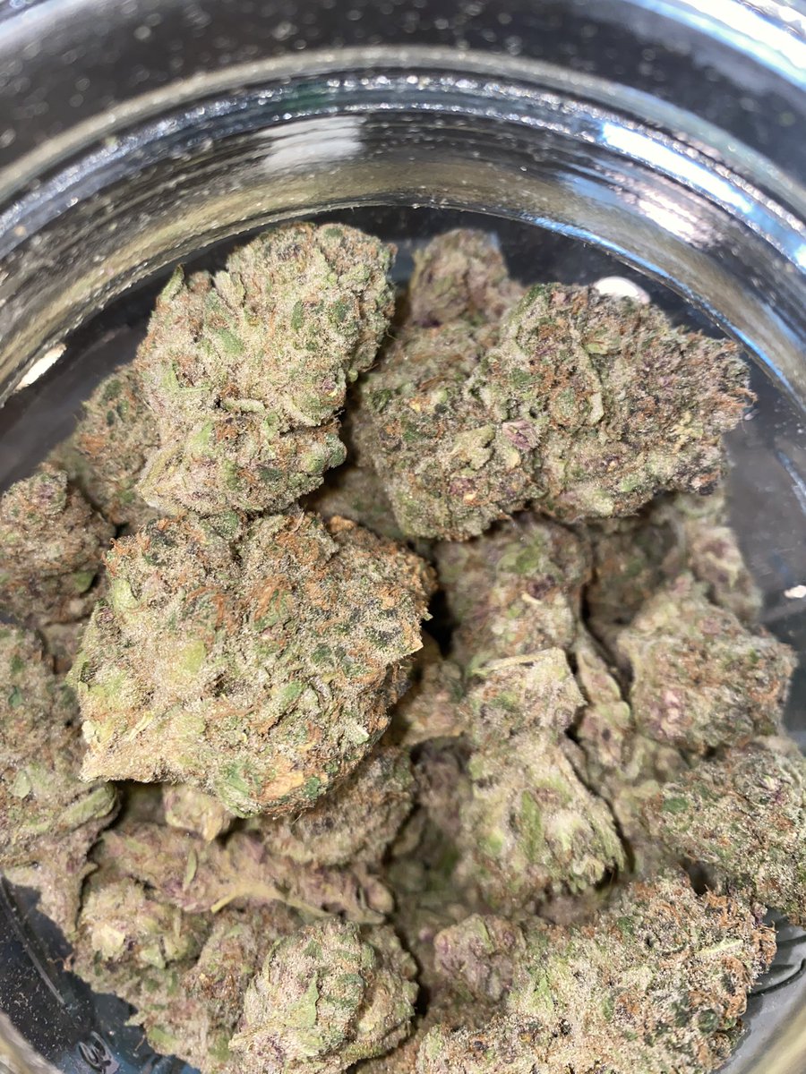 thecdcpdx's tweet photo. Happy Monday stoners! You might be surprised to hear this #Super #Boof by Gangi Girl is your #mondaymotivation but once you get one whiff of our #strainoftheweek, you’ll understand 😉 🤤 🔥 This #sativa SLAPZ #portland #OR #cannabis #weedlovers #420friendly #TheCDC #memberville https://t.co/c7t5HFIfLO