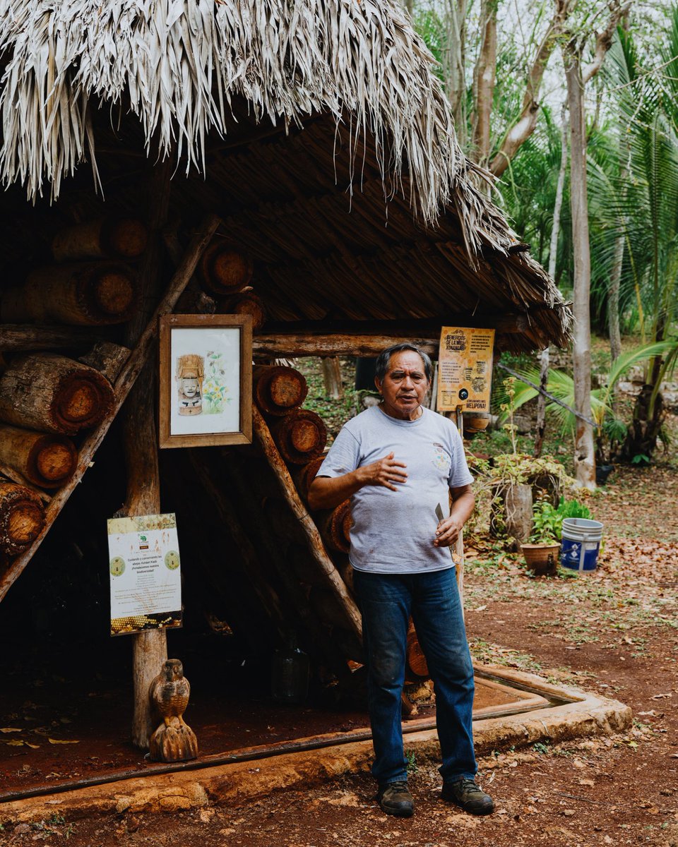 MODERN ADVENTURE tweet media