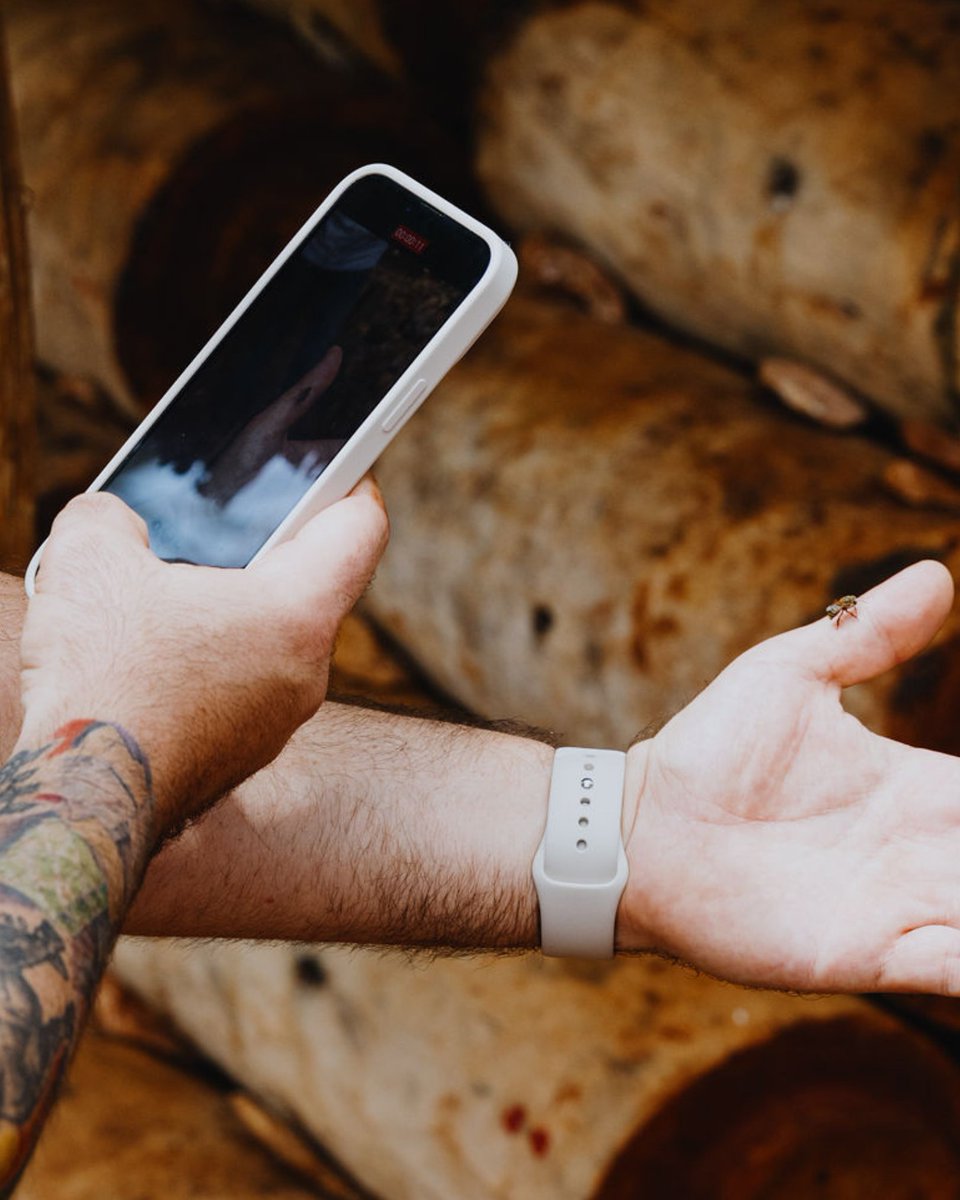 MODERN ADVENTURE tweet media