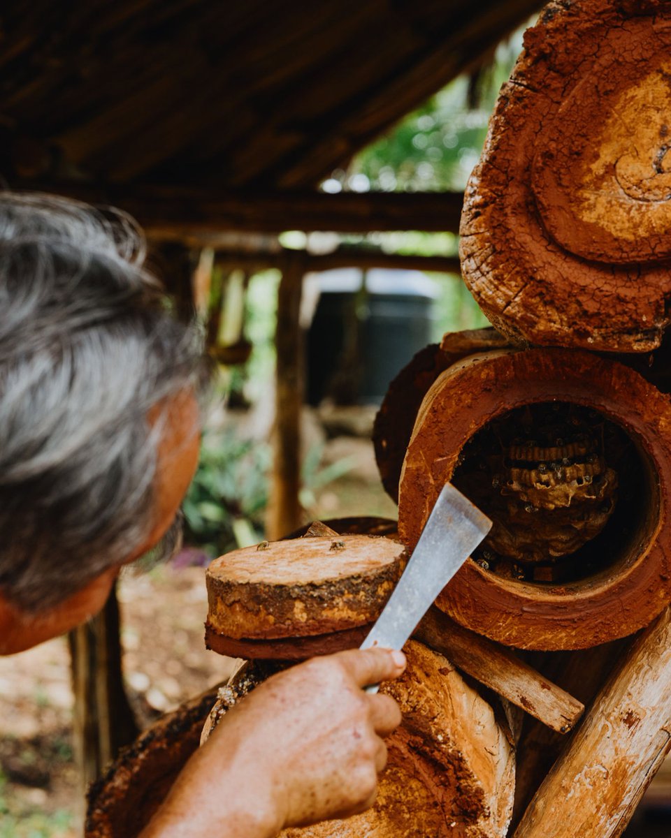 MODERN ADVENTURE tweet media