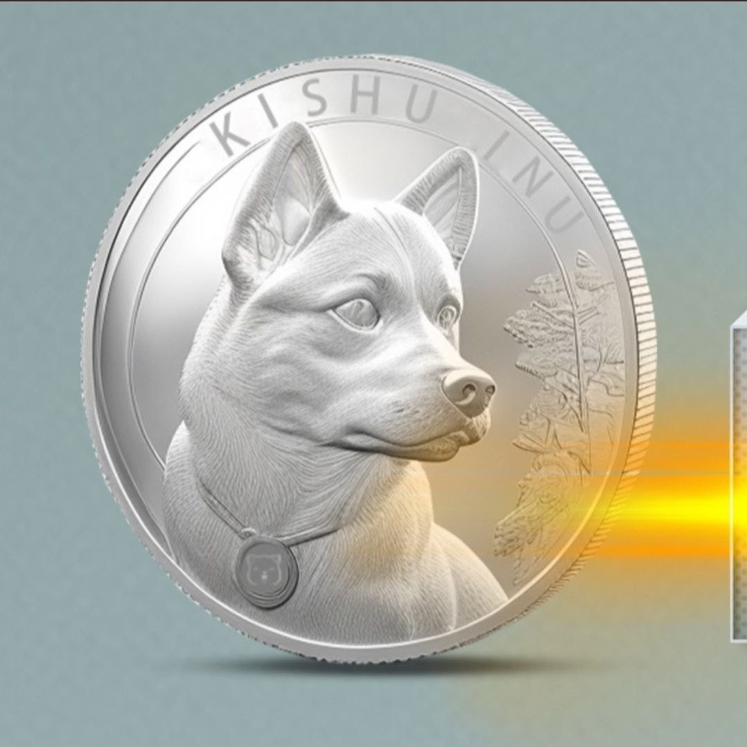 Razel104's tweet photo. @evai_io buy kishu inu right now, there will be a massive price increase https://t.co/5QbzPwoG0L