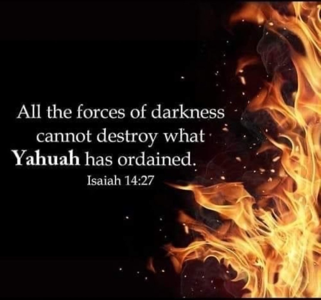 polarisiskey's tweet image. You cannot hide nor stop the truth anymore
#flatearth #spaceisfake #yahuahisthecreator