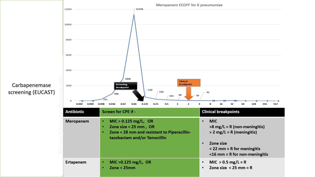 microregistrar's tweet photo. To remember that CPE screening breakpoints are different to clinical breakpoints.
#FRCPathMicrobiology, #UKmicrobiology, #medmicro, #CPE https://t.co/U5QXR06FR9
