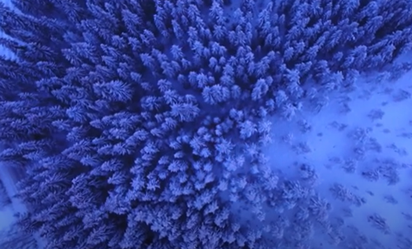 Serenity_Focus's tweet photo. Our videos are made for insomniacs by an insomniac. 
I'll be watching this new video before bed tonight. 😴
https://t.co/Awkp8sDhvD
#sleep #insomnia #stillawake #cannes2023 https://t.co/A3cPJe34BC
