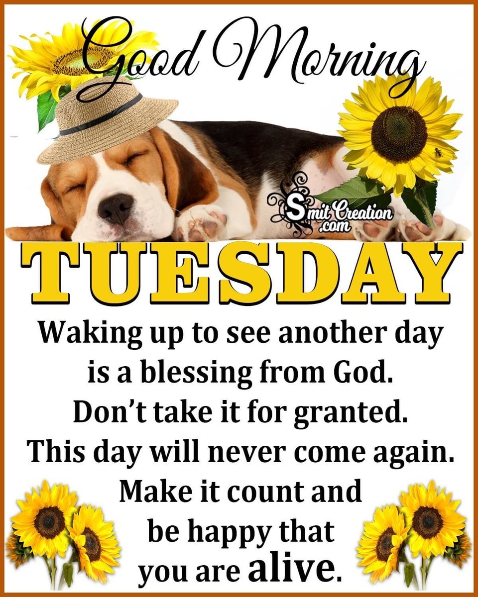 A wonderful Tuesday my #ADNFAM ! Thank God for  waking you up to another wonderful day filled with His love and hope! Always stay positive and blessed!💚😘

#ALDUBatADNOurHabitat