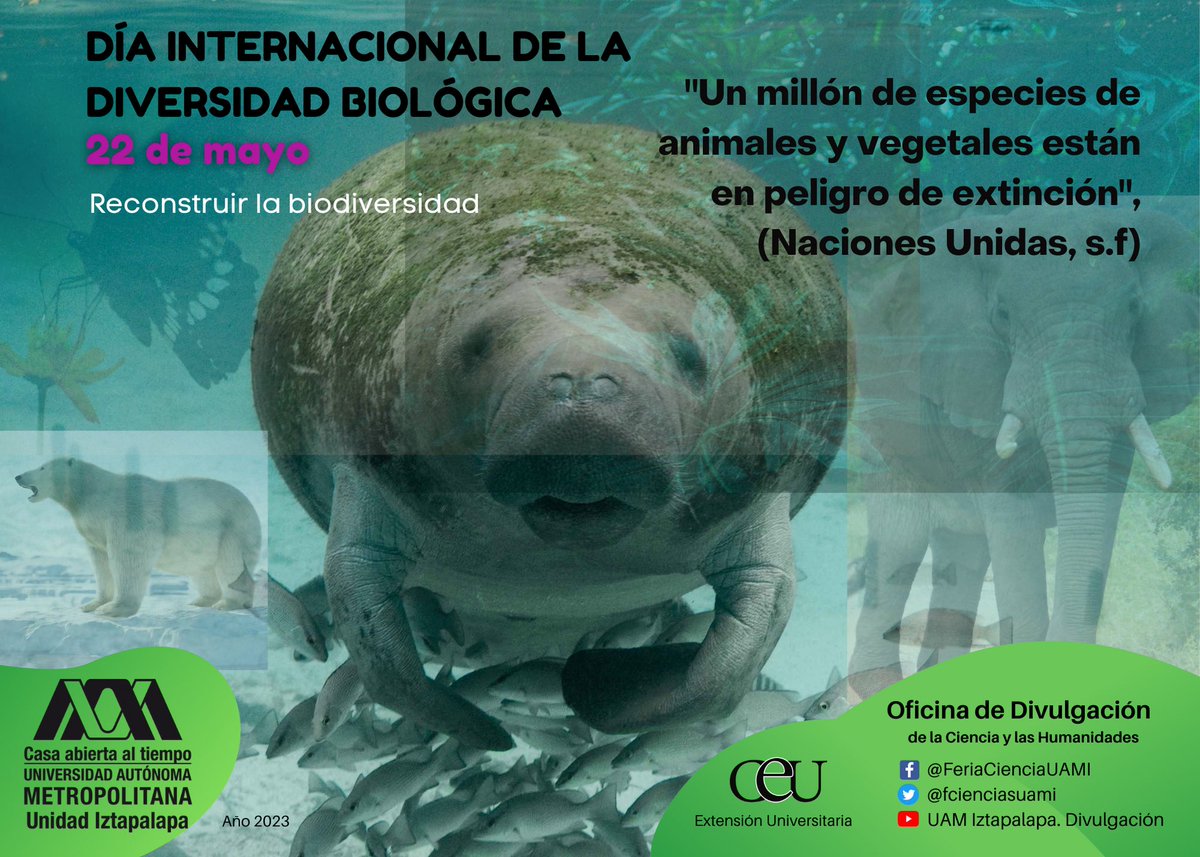 “Un millón de especies animales y vegetales están en peligro de extinción”, (Naciones Unidas, s.f) 
#DíaDeLaBiodiversidad #DíaDeLaDiversidadBiológica 
#UAM #UAMI #ODCYH