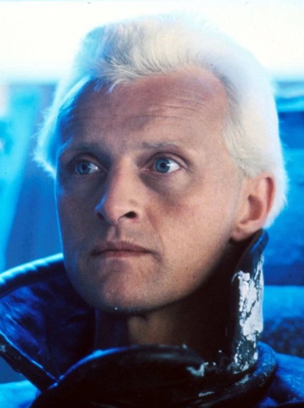 PS: RIP to the indelible actor who played the Roy Batty character in Bladerunner: Rutger Hauer (2019) 🙏🏼