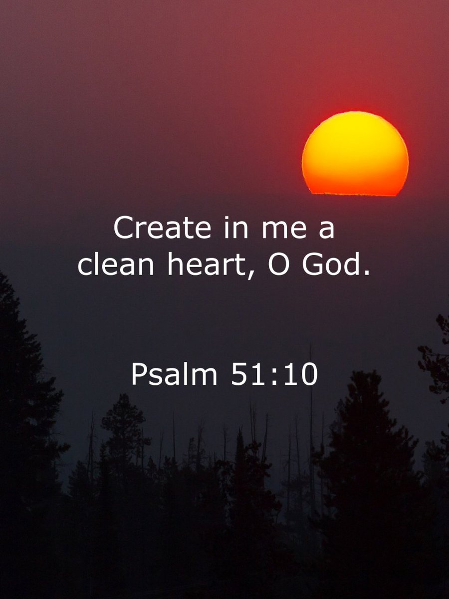 💦Lanie💦 (@sedalaniem) on Twitter photo 