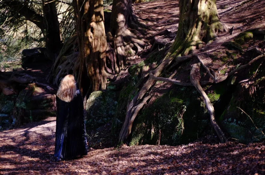 Join us on a captivating journey through #TheSecretForest an ethereal creation by our director &amp; founder #LeighWarnick, a true Renaissance artist who effortlessly weaves his talents as a painter, sculptor, and photographer into a tapestry of enchantment. bit.ly/3os9Q31