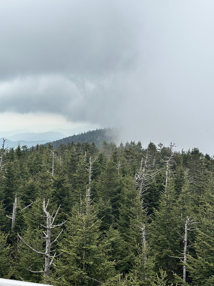 alitawil32's tweet photo. 💨 ⛰️ https://t.co/rJnnndoFcd