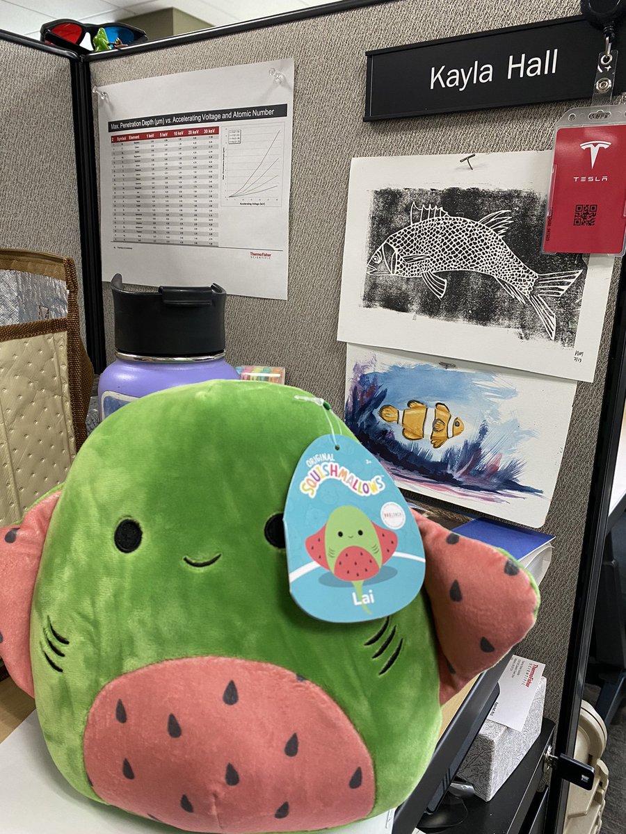 KseaHall's tweet photo. I love this job &amp; our team🥺🥰❣️ 
I now have a lil watermelon ray and Nemo painting for my desk because im O-fish-ally a doctor🥳 

They all call me Dr. Fish now lol Im so proud🥲 https://t.co/7hhJ3XW96l