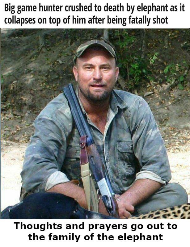 BREAKING NEWS: 
🐘👏👏