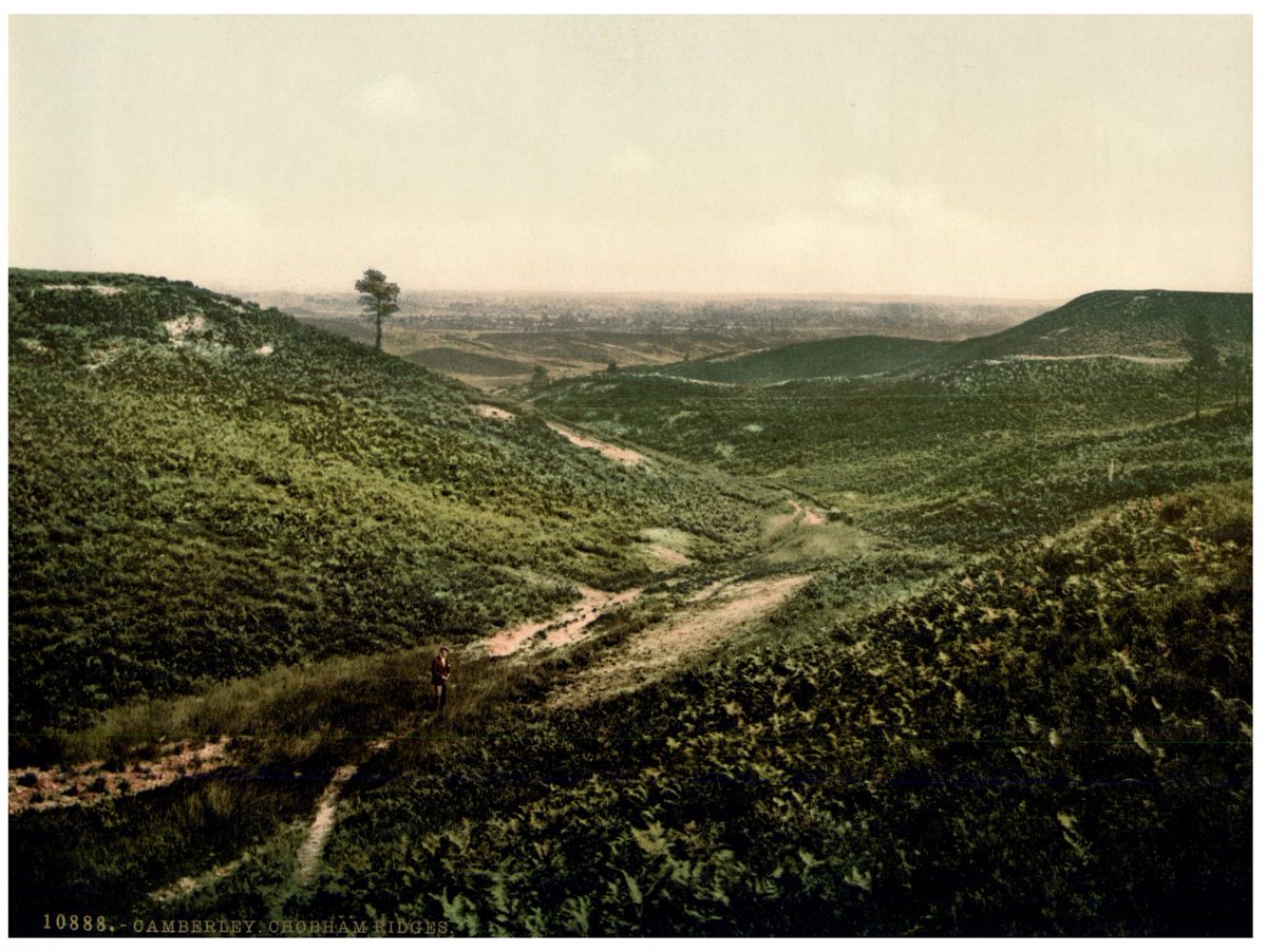 Camberley, Chobham Ridges cgi.ebay.fr/392456982291 #AngleterreDivers