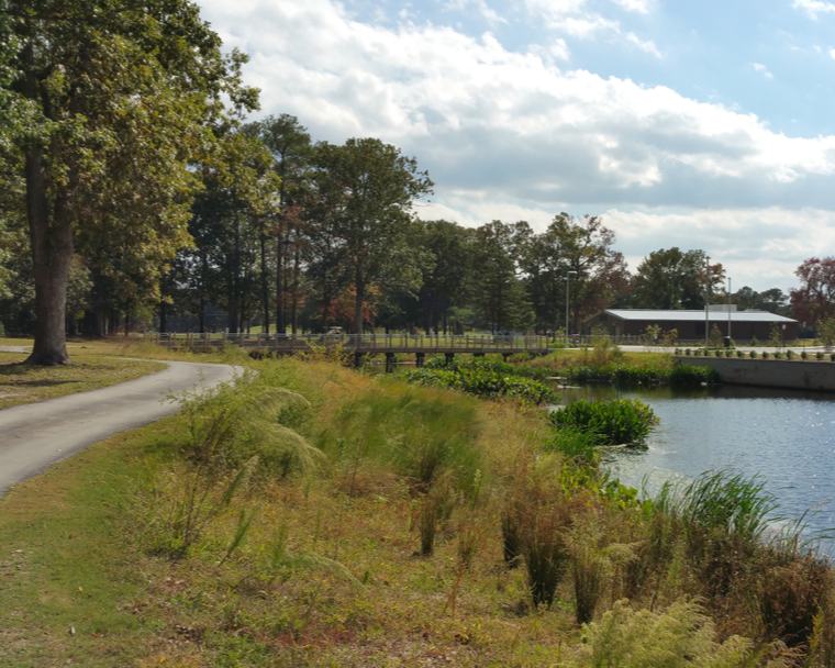 From a country club to a recreation center, Bow Creek's evolution brought many challenges, including poor runoff rainwater quality. But, through the redevelopment of the brownfield site and the use of shallow ditches and a wetland BMP, the center now provides extensive pollutant