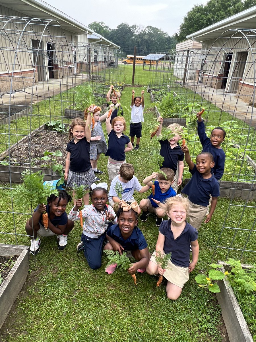 West Feliciana Parish Schools tweet media